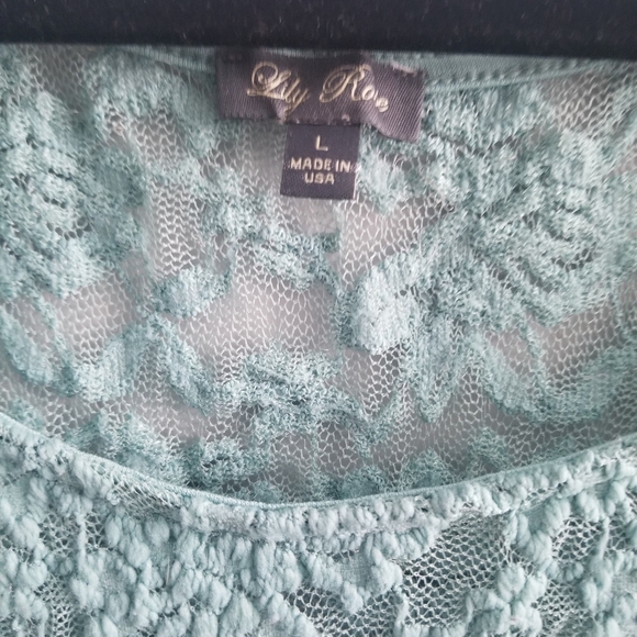Lily Rose Sheer Teal Lace Peplum Blouse - Picture 4 of 5